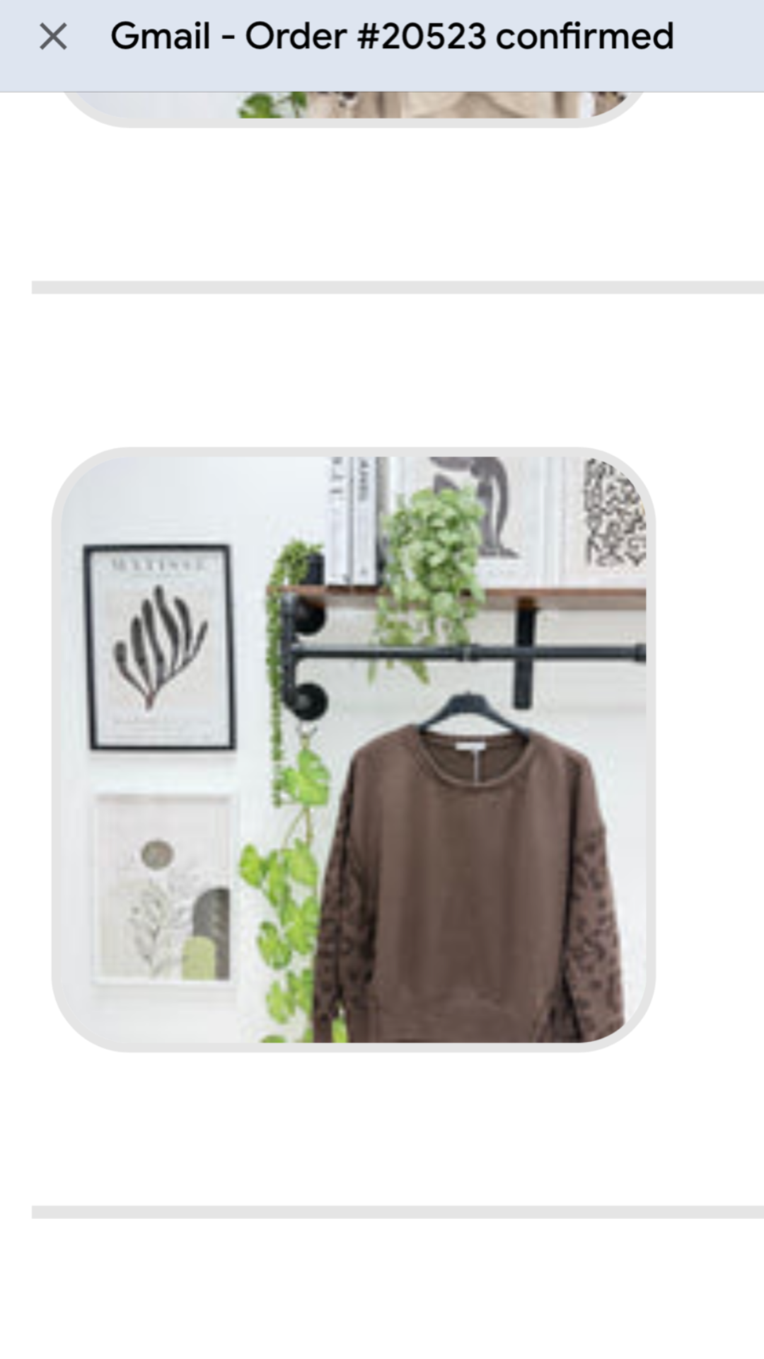 Leopard Print Sweatshirt Brown